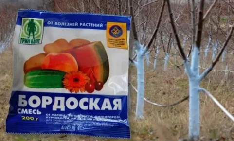 ������ �� ����� ��������� ��������� ����� � ���� � ����� ������