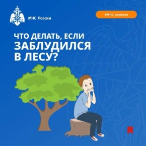 Если ты заблудился в лесу!