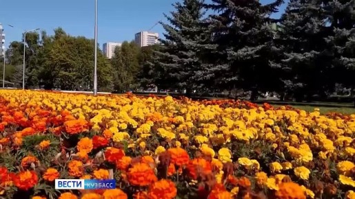 Пока на улице от минуса до плюса и хочется одеться потеплее, любуемся тюльпанами, которые уже расцвели в центре Кемерова