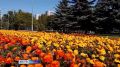 Пока на улице от минуса до плюса и хочется одеться потеплее, любуемся тюльпанами, которые уже расцвели в центре Кемерова