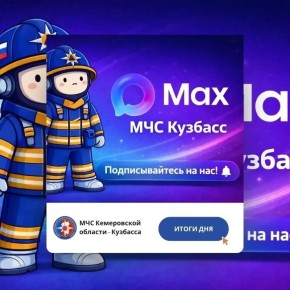 За дежурные сутки с 11 по 12 мая пожарно-спасательные подразделения Кузбасса ликвидировали 30 пожаров: