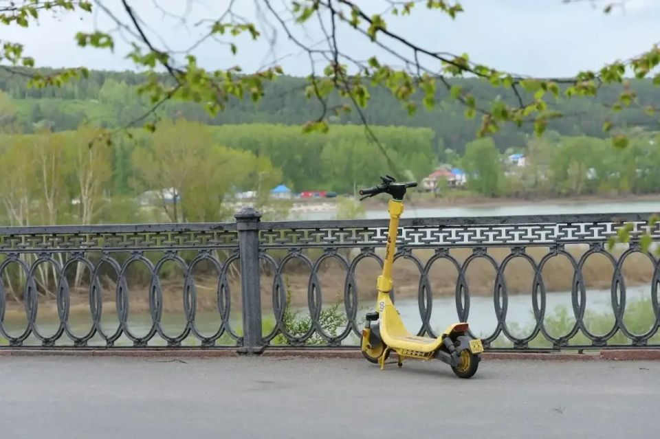 Кемерово расцветает вместе с весной! Кемерово расцветает вместе с весной!