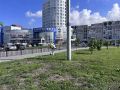Новокузнецк начали обрабатывать от клещей