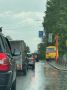 В Калтане дождём подмыло корни дерева и оно упало на проезжую часть