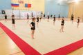 Дмитрий Анисимов: Приобрели специальный ковер для наших маленьких гимнастов