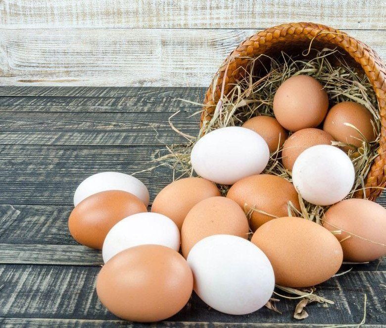 Цены на яйца снизились: какие предложения ждут покупателей?