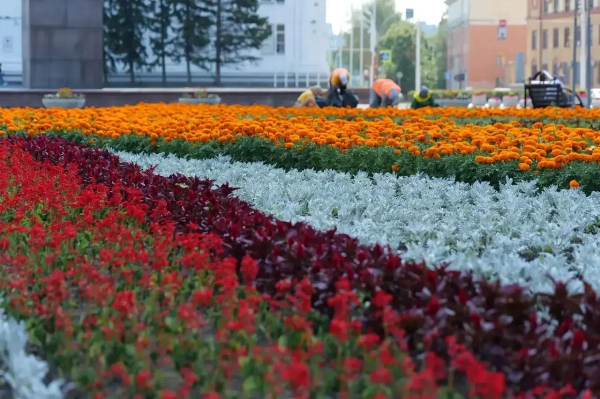 Сегодня на ежедневные работы по текущему содержанию города вышли 240 рабочих Сегодня на ежедневные работы по текущему содержанию города вышли 240 рабочих