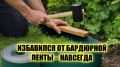 Забудьте о традиционных бордюрах: новые идеи для ландшафтного дизайна