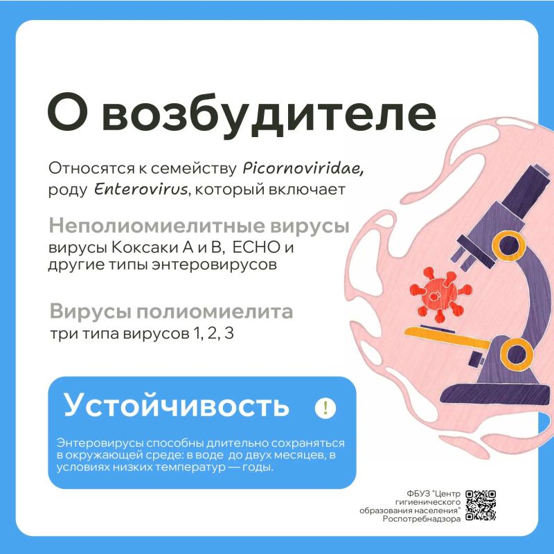 Лето и начало осени — время, когда энтеровирусы особенно активны Лето и начало осени — время, когда энтеровирусы особенно активны