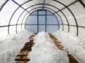 Снег в теплице: нужен ли он для успеха вашего урожая?