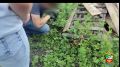 � ������������ ������������ ����������� ��������� �������� ������ �� ������� ����� ������ �������������� ���������