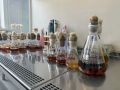 Илья Середюк: 29 молодых ученых Кузбасса получат по миллиону рублей на разработку инноваций