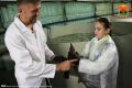 В Кузбассе заработал современный комплекс по выращиванию осетра