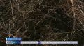 Любители красивых фото в полях мешают селянам заготавливать сено