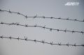 ��������� �� ��������, ������� ������� �� ��������, ��������� � �������