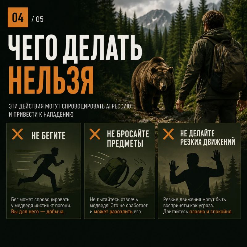 Встретить медведя в лесу – ситуация, к которой лучше быть готовым заранее Встретить медведя в лесу – ситуация, к которой лучше быть готовым заранее