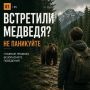 Встретить медведя в лесу – ситуация, к которой лучше быть готовым заранее