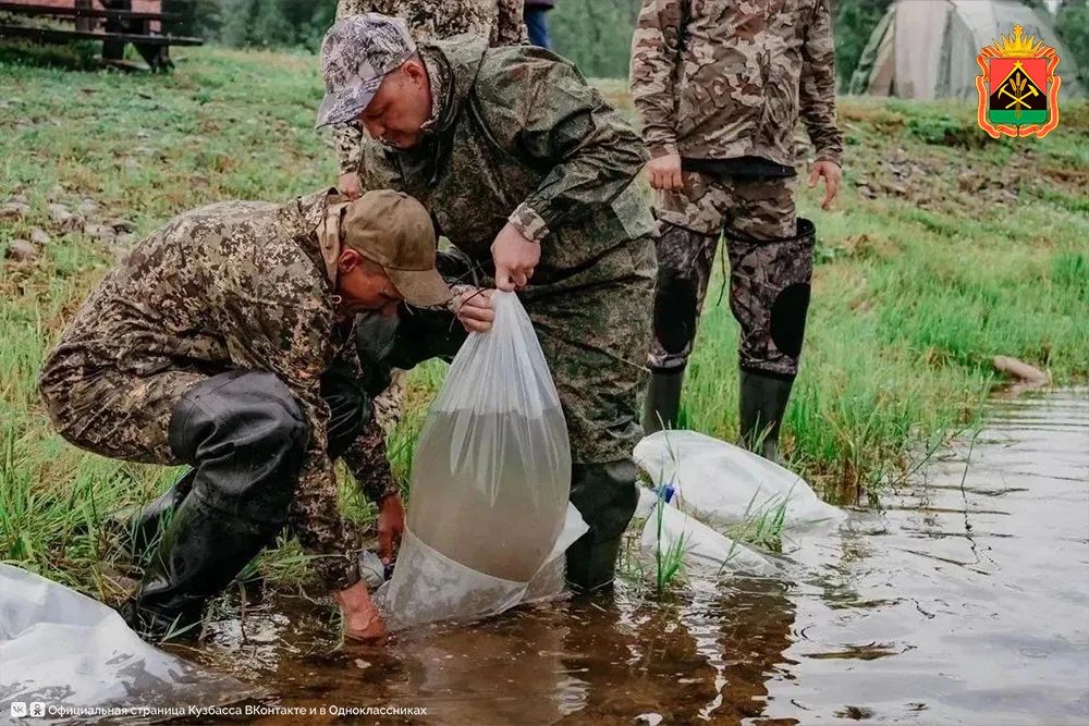Кузбасское предприятие выпустило в Томь почти четыре тысячи мальков нельмы Кузбасское предприятие выпустило в Томь почти четыре тысячи мальков нельмы