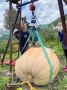 Это Алексей Заболотник из села Куртуково и выращенная им гигантская тыква – ее вес составляет 462 кг! Садовод готовится к фестивалю «Пачинская тыква», на котором кузбассовцы представят свой урожай