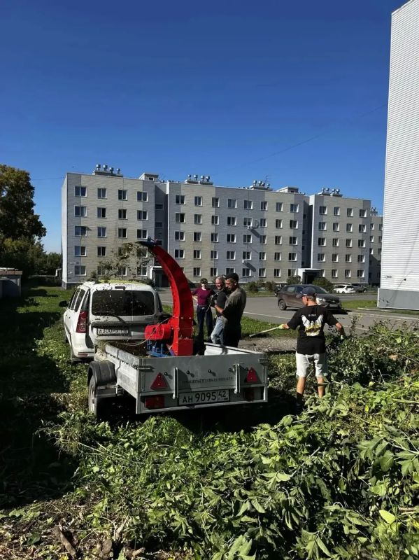 400 квадратов свободы и 40 кубов веток: в жилом районе Ягуновский на Белозерной прошёл субботник 400 квадратов свободы и 40 кубов веток: в жилом районе Ягуновский на Белозерной прошёл субботник