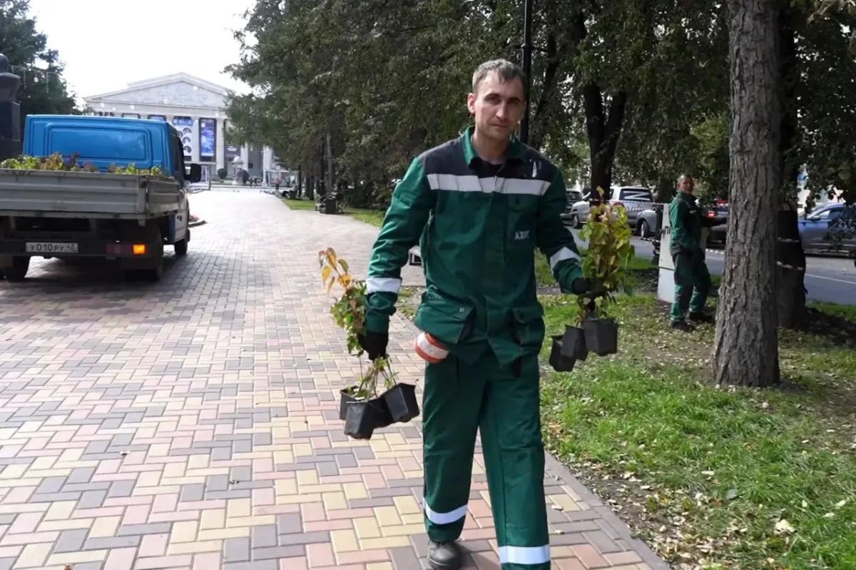 На Весенней восстановили живую изгородь: высадили 724 саженца На Весенней восстановили живую изгородь: высадили 724 саженца