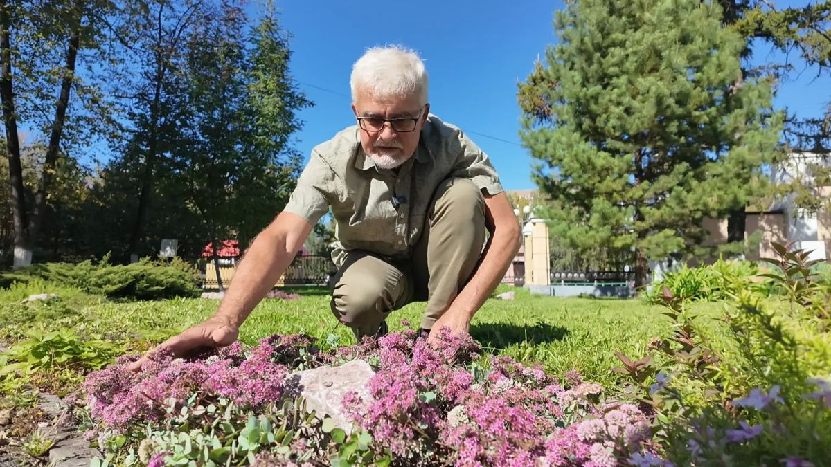 Сквер возле Первой городской больницы, декоративные растения и новый выпуск программы «Вперёд, товарищи! На дачу!»: Сквер возле Первой городской больницы, декоративные растения и новый выпуск программы «Вперёд, товарищи! На дачу!»: