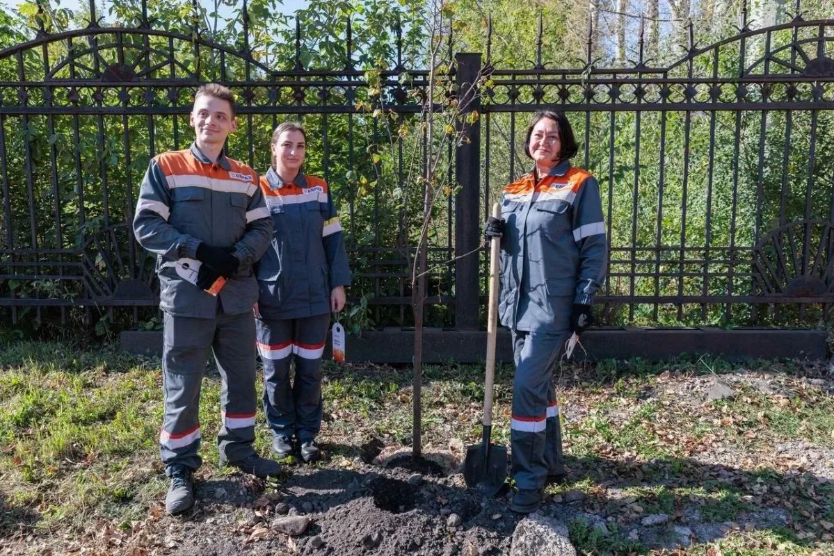 В Новокузнецке появилась новая зеленая зона
