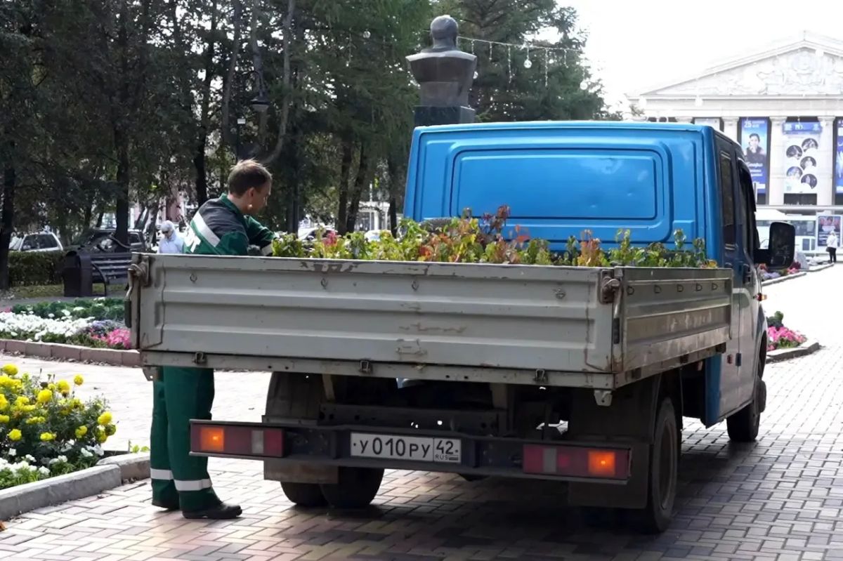 На Весенней восстановили живую изгородь: высадили 724 саженца На Весенней восстановили живую изгородь: высадили 724 саженца