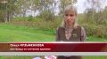 Кружевные изделия Олеси Кузьменковой