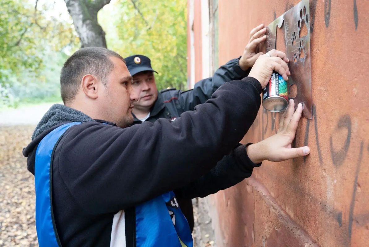 В Кемерове стартовал городской чемпионат «Чистые стены» В Кемерове стартовал городской чемпионат «Чистые стены»