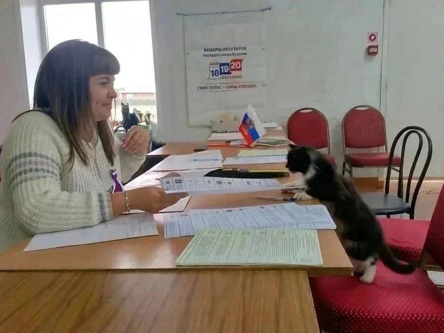 У них – лапки. Но они все равно пришли на выборы! У них – лапки. Но они все равно пришли на выборы!