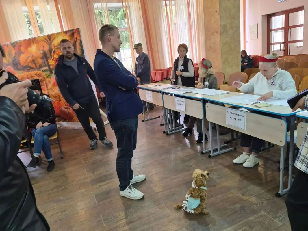 У них – лапки. Но они все равно пришли на выборы! У них – лапки. Но они все равно пришли на выборы!