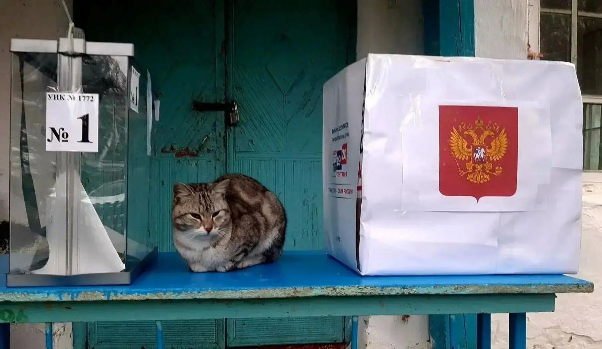 У них – лапки. Но они все равно пришли на выборы! У них – лапки. Но они все равно пришли на выборы!