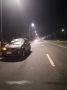 В Кемерове на дороге в Лесную поляну сбили лося