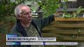 «Нет фото или видеодоказательств – нет и зверей!»: жители СНТ "Дружба" в Новокузнецке оказались брошены один на один с медведями, которые поселились рядом с домами