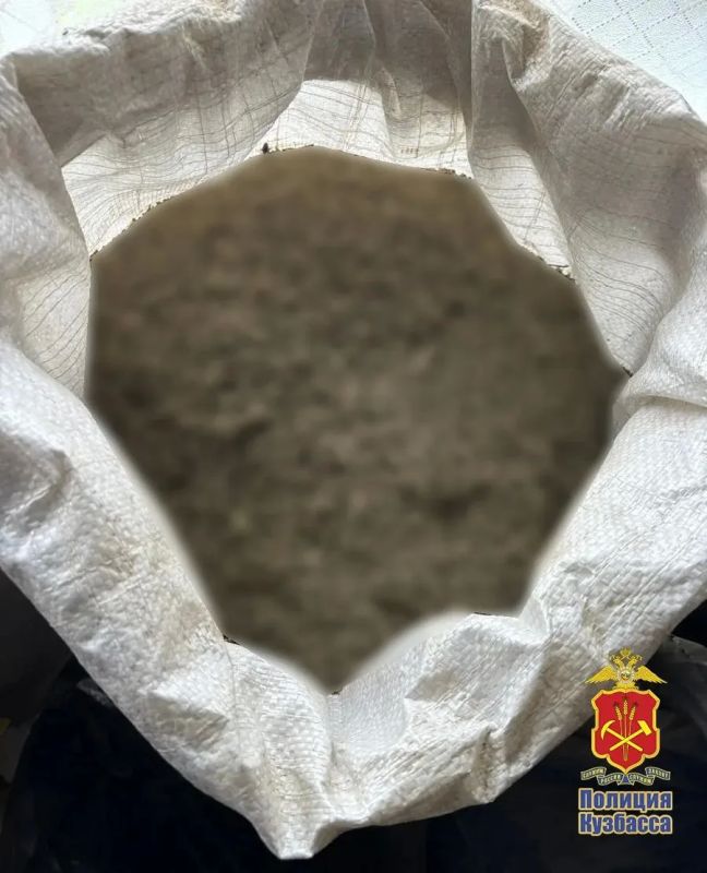 19 килограммов марихуаны изъяли полицейские в Тяжинском округе