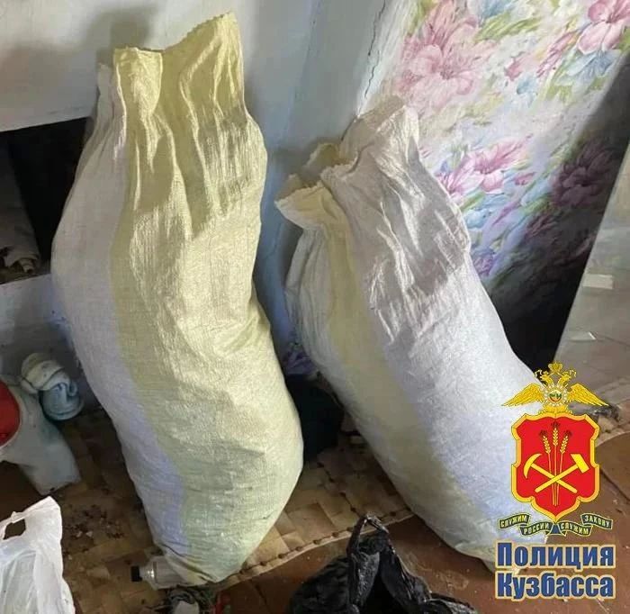 Более 8 кг марихуаны хранил в доме у родственников кузбассовец Более 8 кг марихуаны хранил в доме у родственников кузбассовец