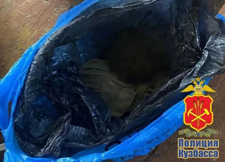 В Топкинском округе сотрудники полиции задержали местного жителя, хранившего 8 килограммов марихуаны в доме своей родственницы В Топкинском округе сотрудники полиции задержали местного жителя, хранившего 8 килограммов марихуаны в доме своей родственницы