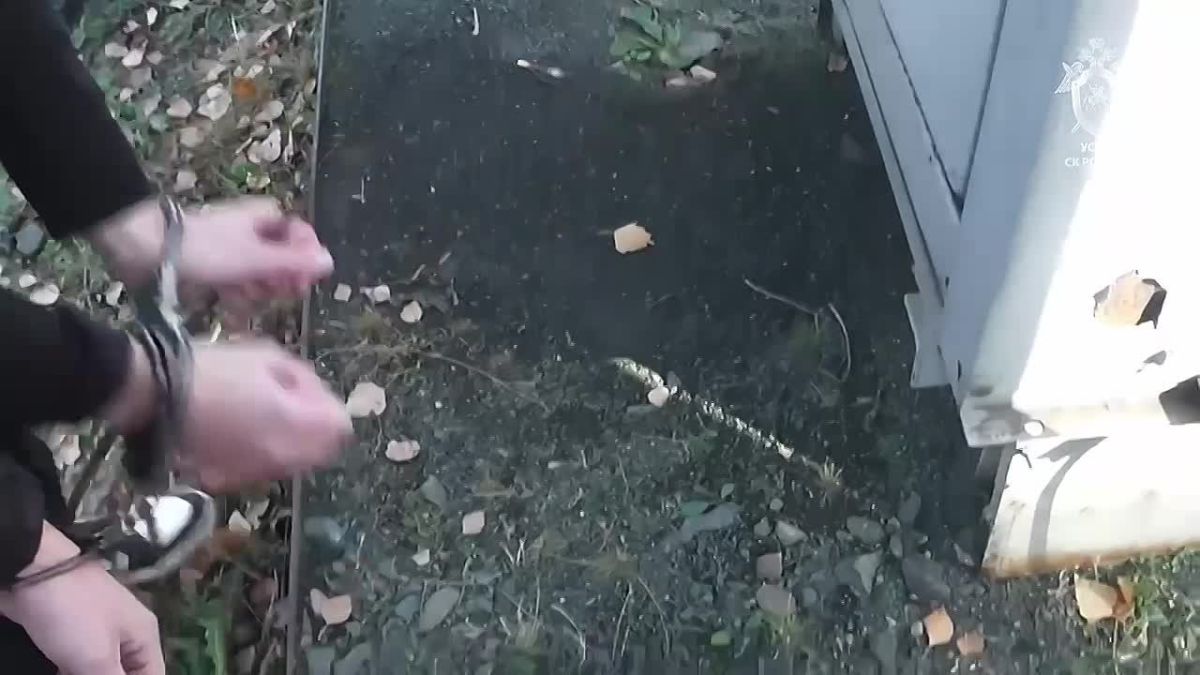 В Кемеровской области за совершение диверсии и государственной измены осуждены двое молодых людей