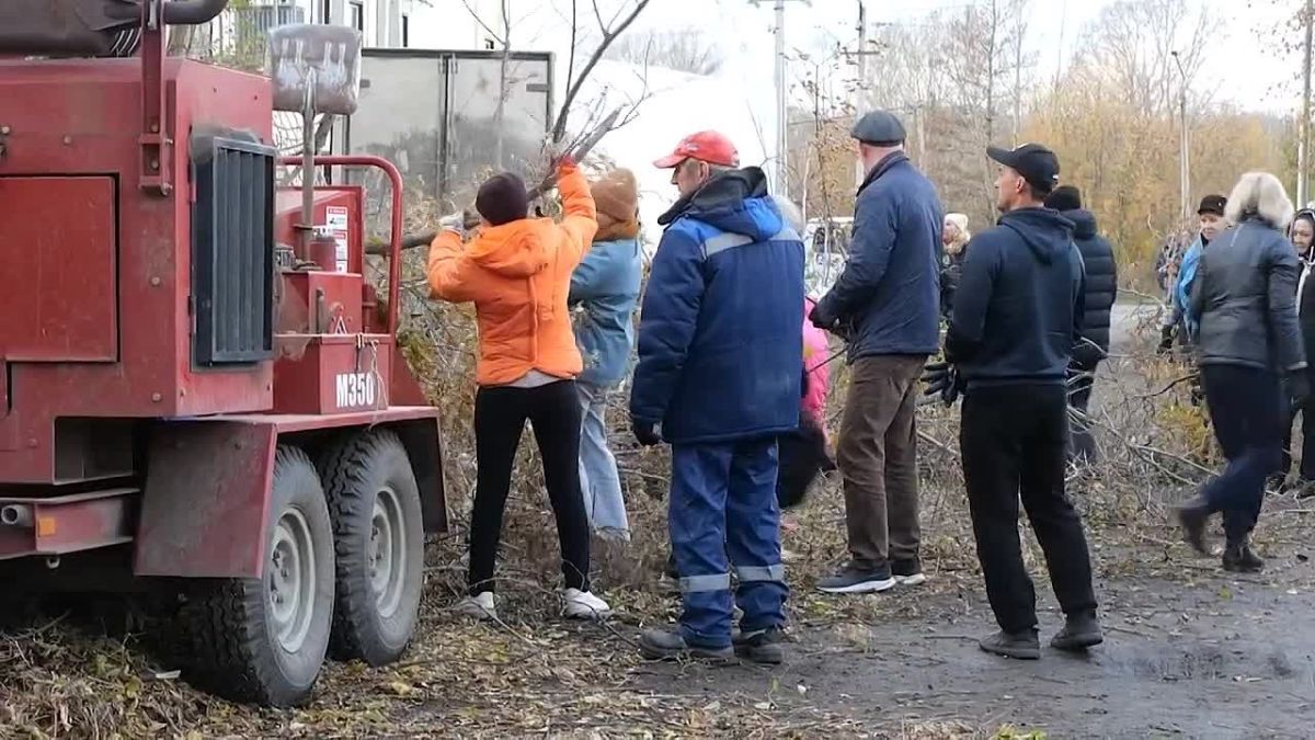 Большие городские субботники продолжаются: жители Плешков совместно с городскими службами расчистили от зарослей важнейший проезд