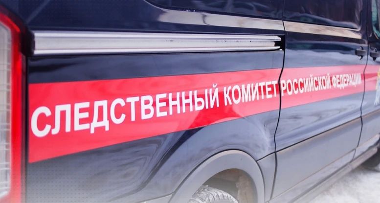 В Новокузнецке 13-летний школьник поджег автомобили полиции и Росгвардии