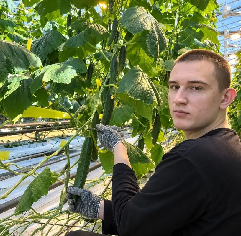Илья Середюк: 11 сельхозпредприятий Кузбасса получили господдержку за организацию производственной практики