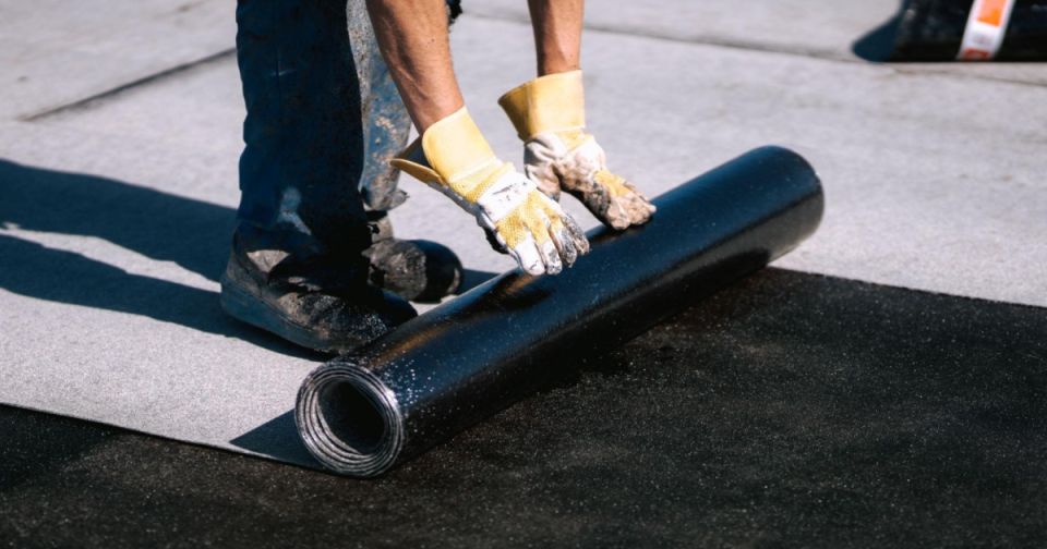 ��� ����� ����� � ������� �������� ������ � ������� ���������� �������