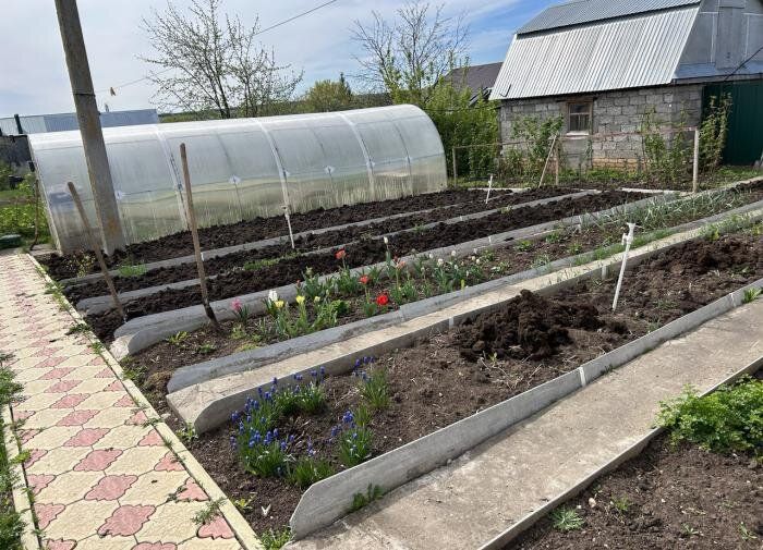 ��� ������������ �������������� ����� ����� ������ ��� ������ ������