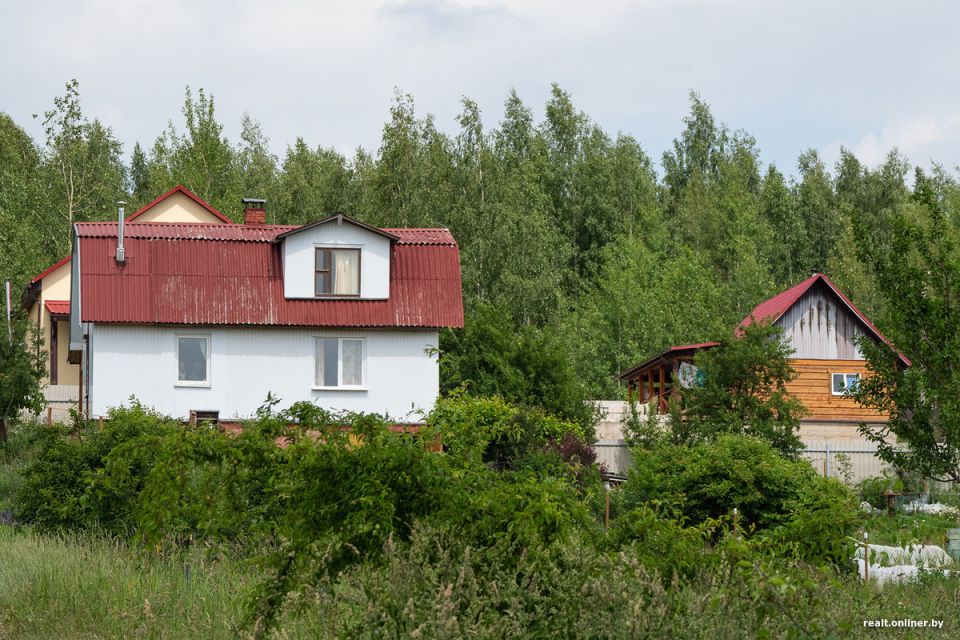 Как побороть шумных соседей на даче: пошаговый план действий