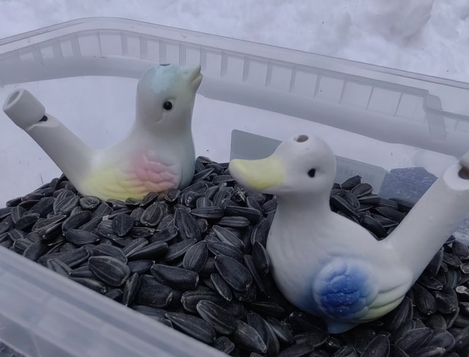 Почему вытяжка - лучший друг вашей кухни: мнения экспертов