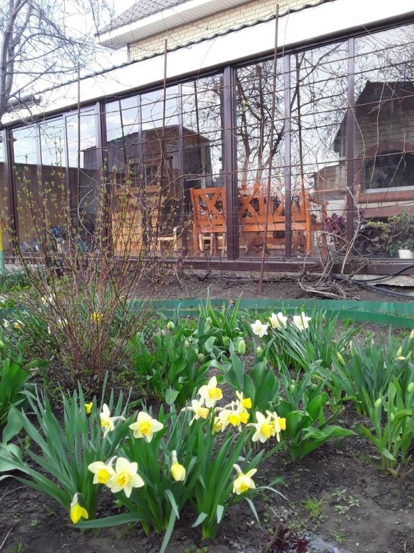 ��� �������� ���������� ������ �������: ���������� ����