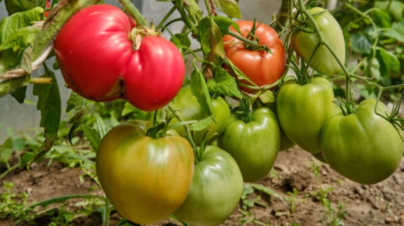 ������������� ������: ��� ��������� 15 �� � ����� � �������� ������