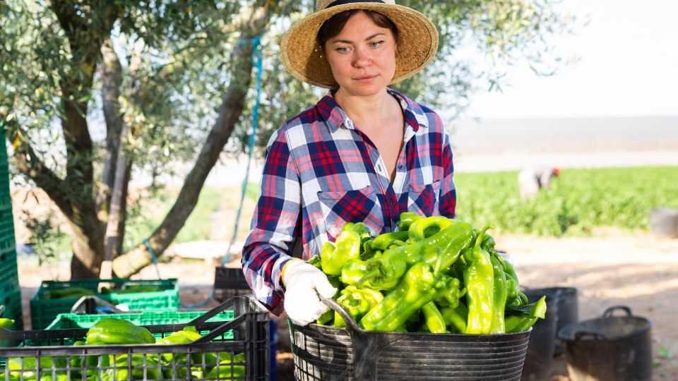 ����� ������ ����� ������: ��� ������������ �������� ������� �����������