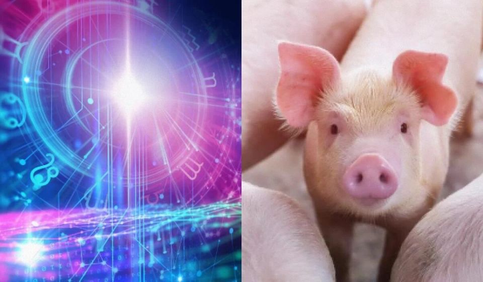 ����� ������� ��� �� ����? �������� ��� ��������� �������� ��������